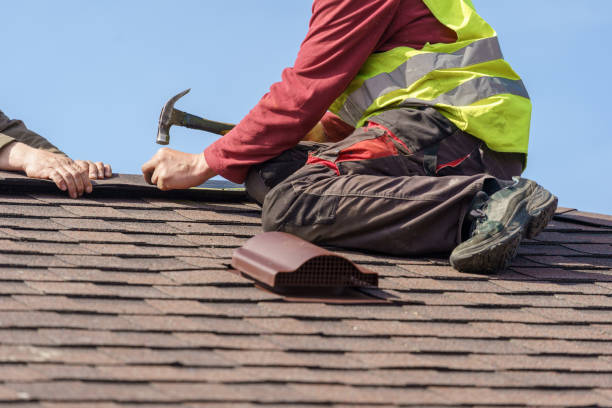 Best Roof Gutter Cleaning  in Gustine, CA